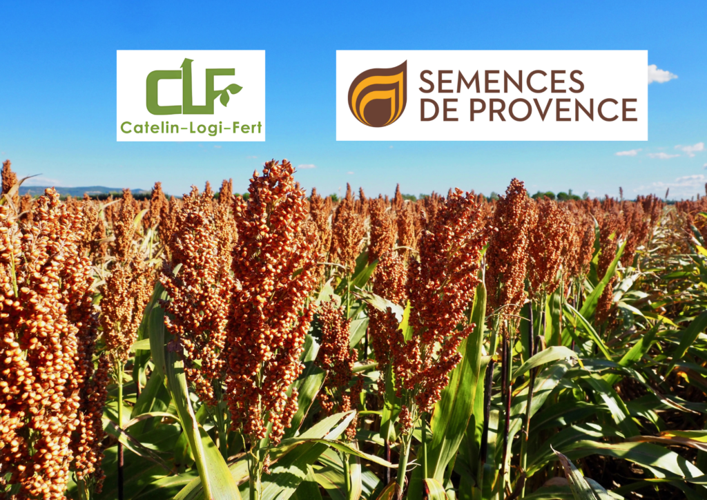 CATELIN-LOGI-FERT devient le représentant commercial des semences SEMENCES DE PROVENCE dans le quart Nord-Ouest de la France